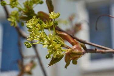 Similar image 21687694