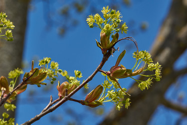 Similar image 21687695