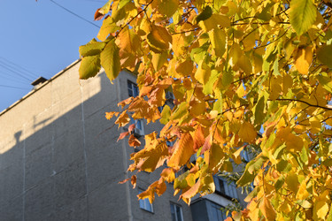 Similar image 21688393