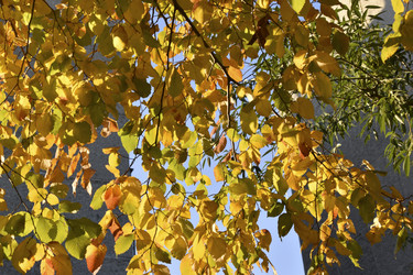 Similar image 21688394