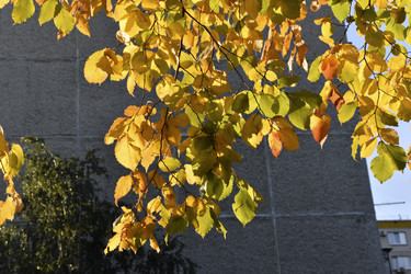 Similar image 21688396