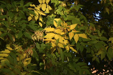 Similar image 21688397