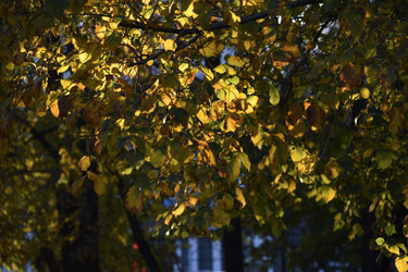 Similar image 21688398