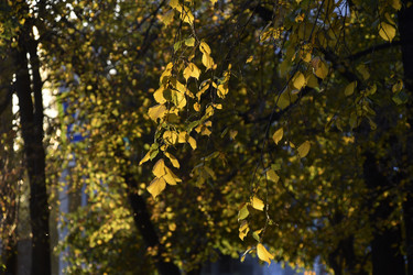 Similar image 21688399