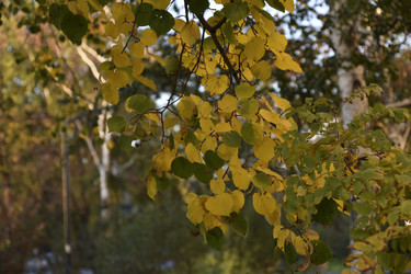 Similar image 21688400