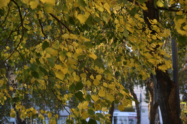 Similar image 21688401