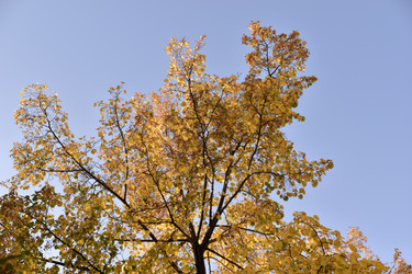 Similar image 21688404