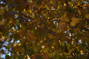 Similar image 21688405