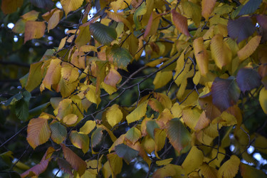 Similar image 21688407