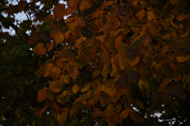 Similar image 21688408