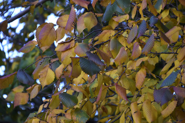 Similar image 21688409