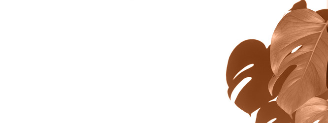 Similar image 21688766