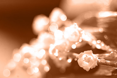 Similar image 21688773