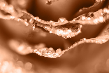 Similar image 21688787