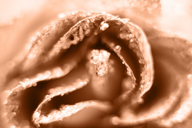 Similar image 21688790