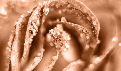 Similar image 21688791