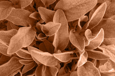 Similar image 21688794