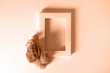 Similar image 21688796