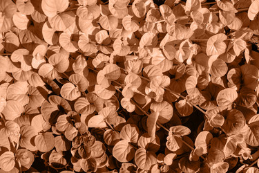 Similar image 21688797