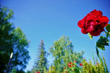 Similar image 21688413