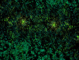 Similar image 21695372