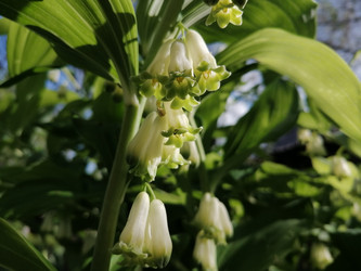 Similar image 21688077