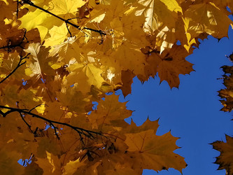 Similar image 21688537