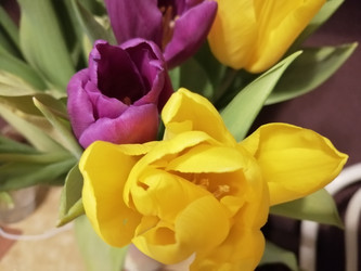 Similar image 21688079