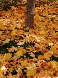 Similar image 21688431