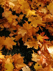 Similar image 21688081