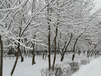 Similar image 21688082