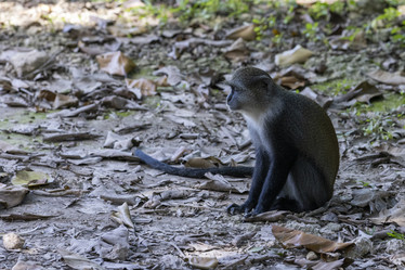 Similar image 21693890