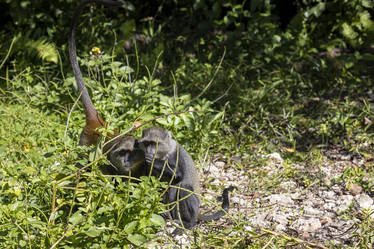 Similar image 21693891