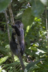 Similar image 21693893