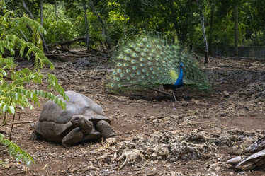 Similar image 21693895