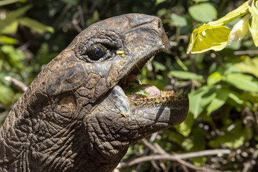 Similar image 21693896