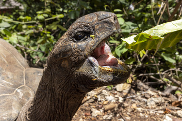 Similar image 21693897