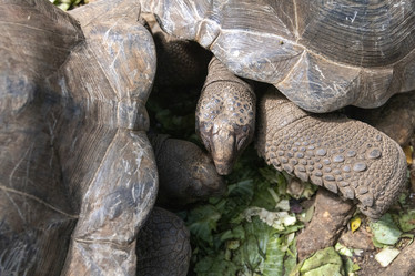 Similar image 21693898