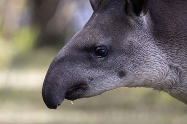 Similar image 21693900