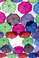 Similar image 21693902