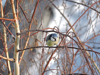 Similar image 21690561