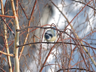 Similar image 21690562