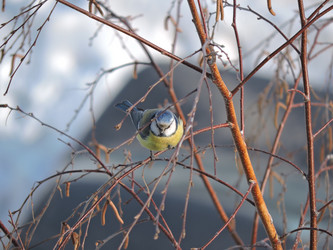 Similar image 21690563