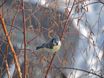 Similar image 21690564