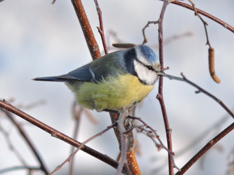 Similar image 21690565