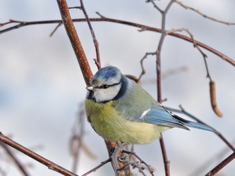 Similar image 21688539