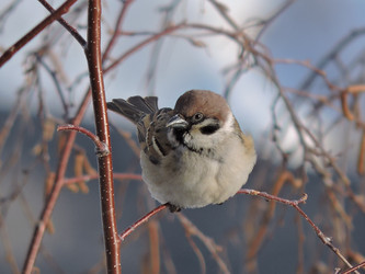 Similar image 21688541