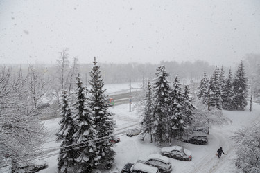 Similar image 21688436