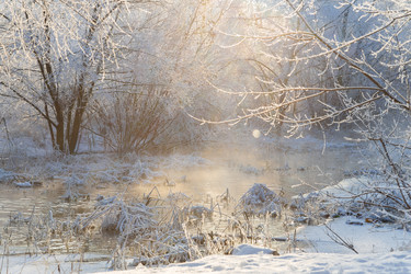 Similar image 21688437