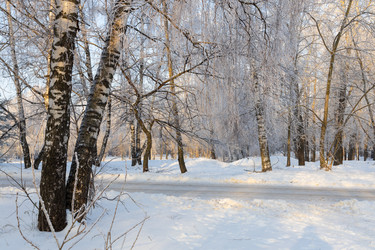 Similar image 21688438